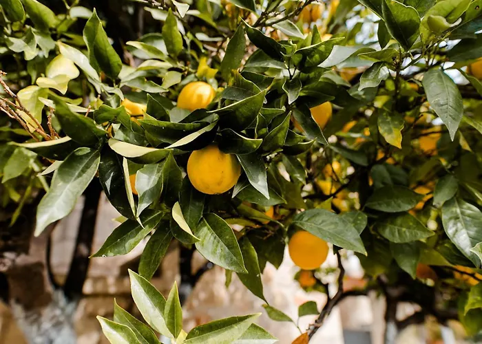 Σπίτι διακοπών Panorama House *